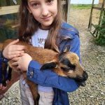 4A "W Zielonym Gaju"